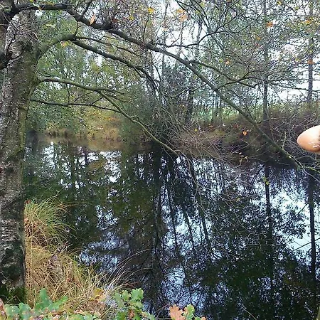 Restaurant In D'ouwe Peel *