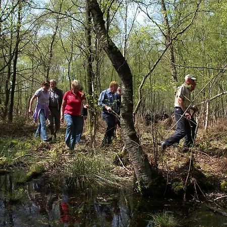 Hotel Restaurant In D'ouwe Peel Helenaveen