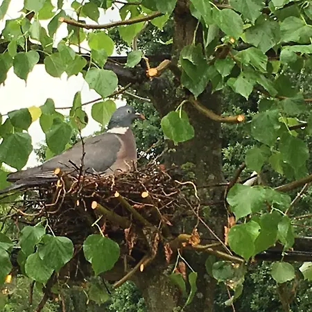 Hotel Restaurant In D'ouwe Peel