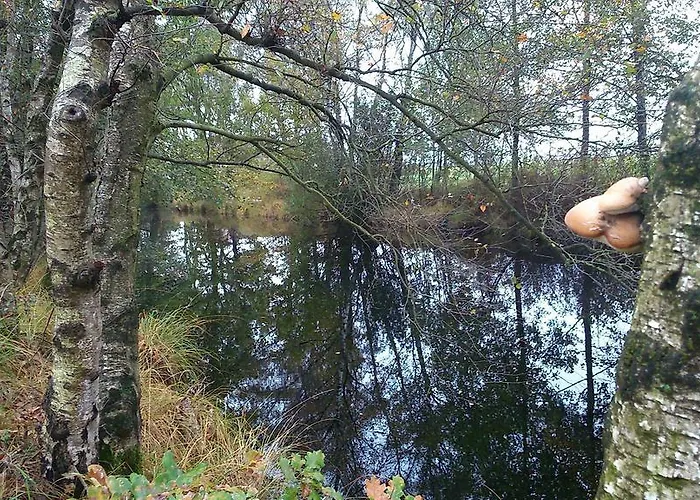 Restaurant In D'ouwe Peel *