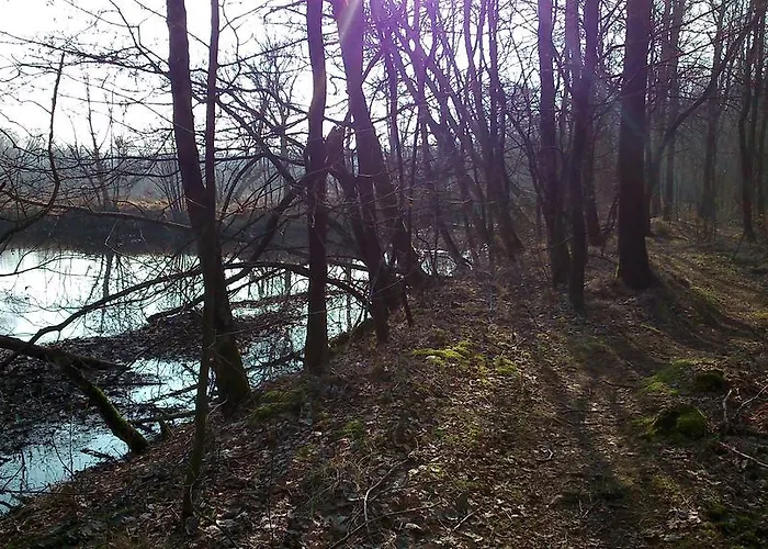 Restaurant In D'ouwe Peel Hotel