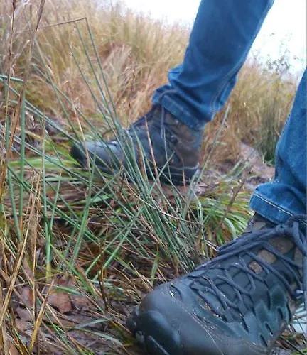 Restaurant In D'ouwe Peel Hotel *