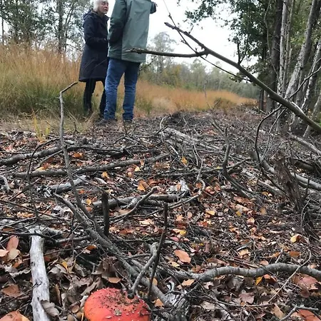 Restaurant In D'ouwe Peel