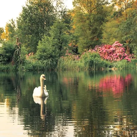 Restaurant In D'ouwe Peel Hotel *