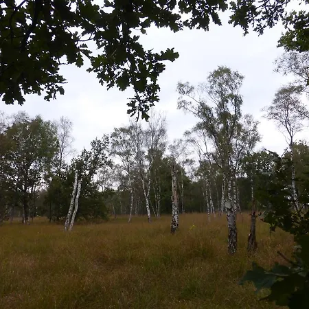 Restaurant In D'ouwe Peel Hotel Helenaveen