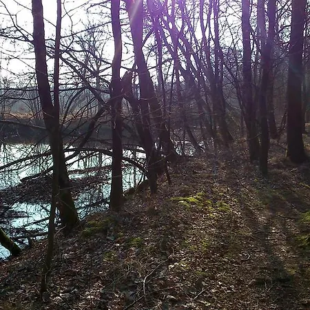 Restaurant In D'ouwe Peel Hotel