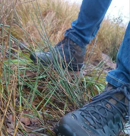 Restaurant In D'ouwe Peel Hotel *