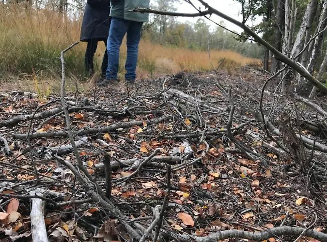 Restaurant In D'ouwe Peel