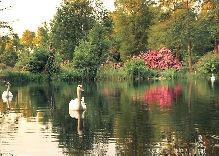 Restaurant In D'ouwe Peel Ξενοδοχείο *