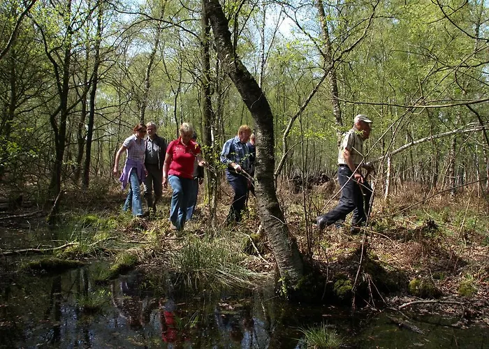 Ξενοδοχείο Restaurant In D'ouwe Peel Helenaveen