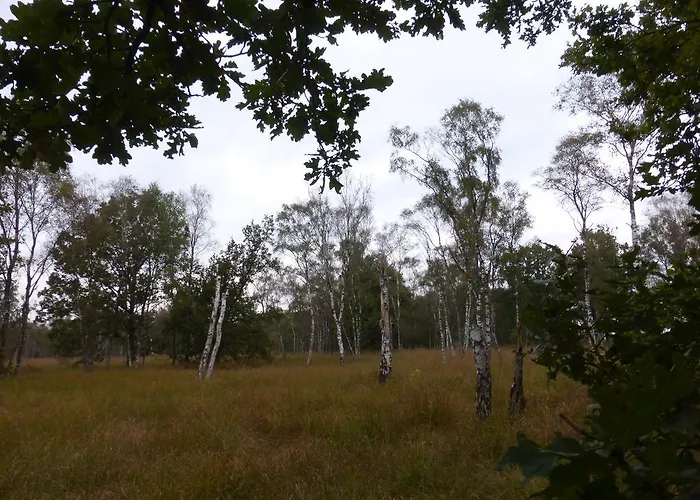 Restaurant In D'ouwe Peel Ξενοδοχείο Helenaveen